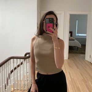 Aritzia Babaton Classic Tan Mockneck Tank Top